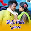 About Jhili Mili Saree Song